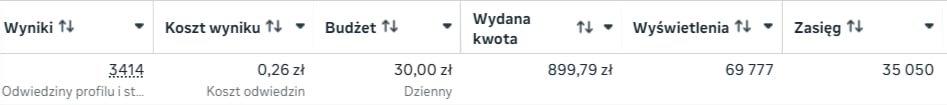 Podsumowanie kampanii reklamowej Angello: wyniki, koszt wyniku, wydana kwota i wyświetlenia